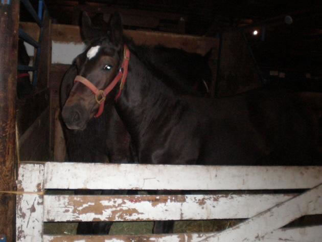 illy for raffle 2010 Fall Field Day