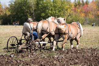 Photo link to 2006 fall field day